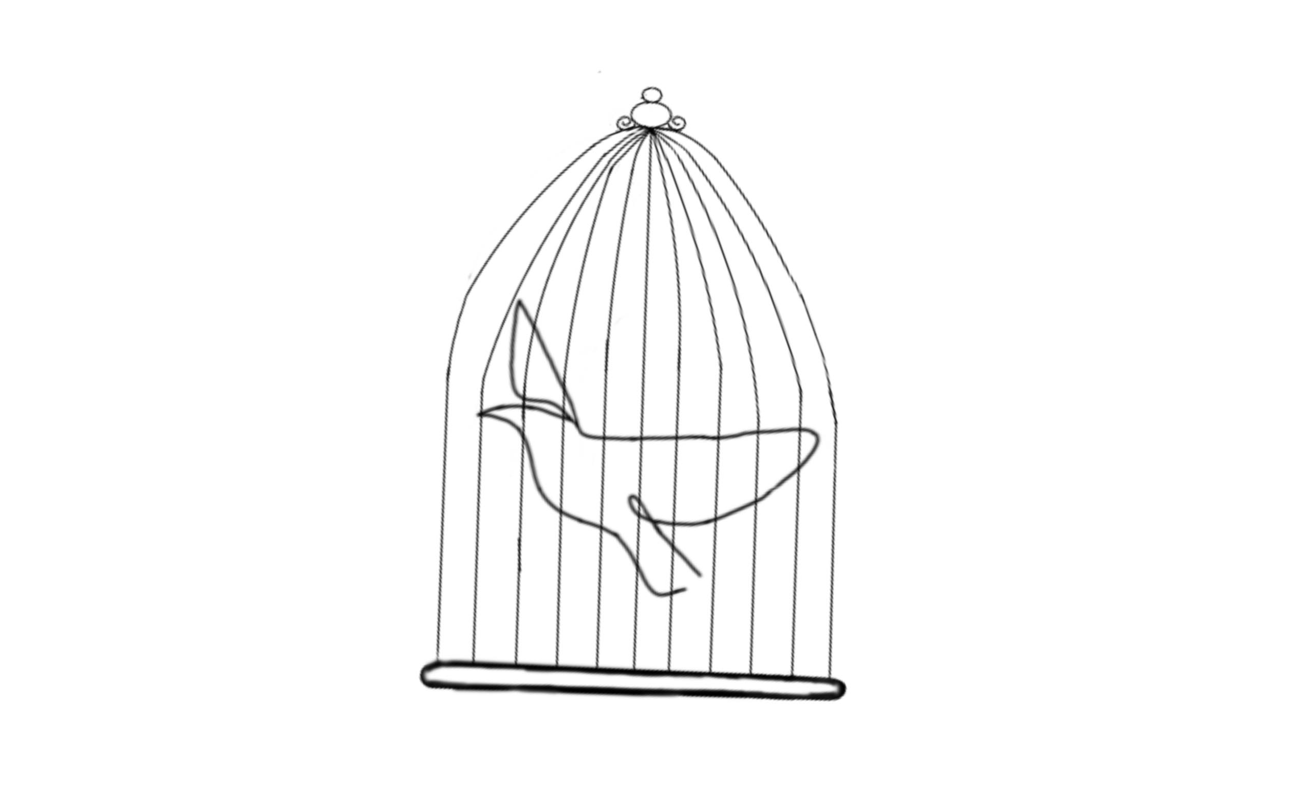 Un oiseau en cage